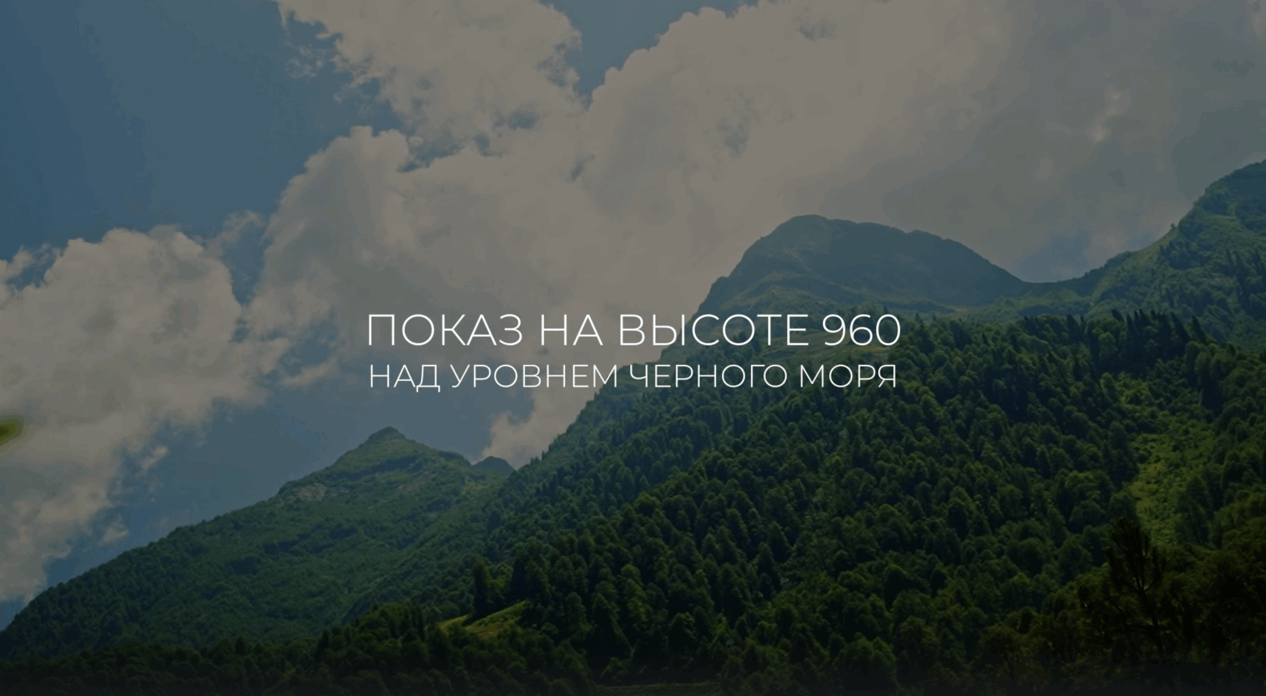 video image